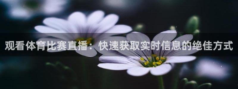 观看体育比赛直播：快速获取实时信息的绝佳方式